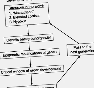témákról sciencedirect