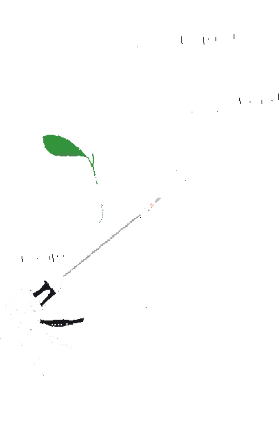 шлунка