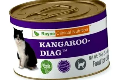 котів райнове