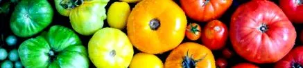 охорони здоров’я охорони здоров’я