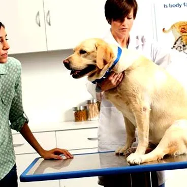 компанію