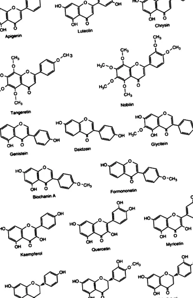 sciencedirect gyógytea