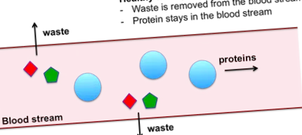 шкідлива високобілкова