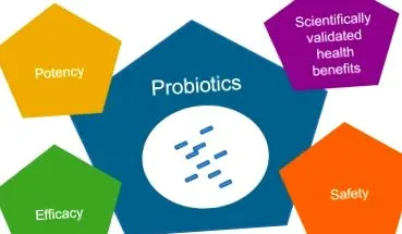 sciencedirect lactobacillus