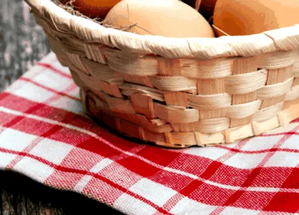 https oursimplehomestead https oursimplehomestead