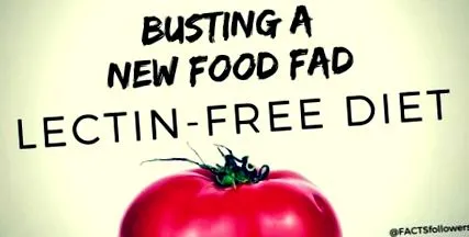 insight food