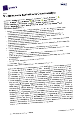 кнопок експорту