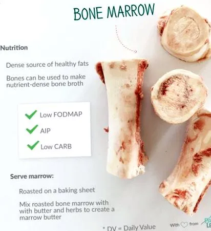 paleo
