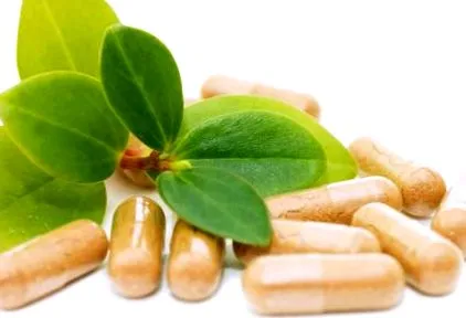 харчування