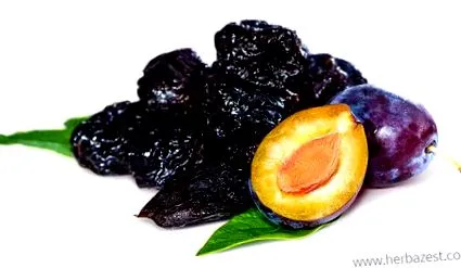 чорнослив Prunus domestica