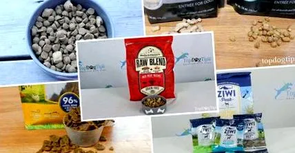 найкращі кормів