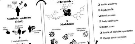 flavonoidok célzása