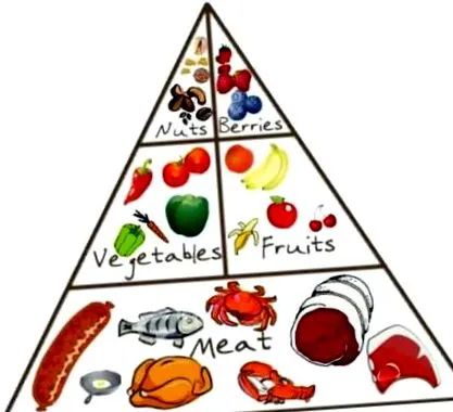 paleo