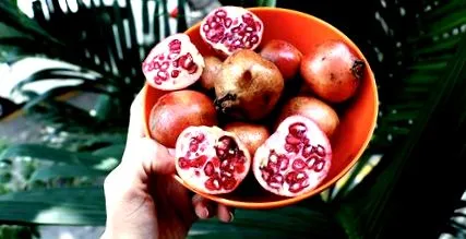 продуктів