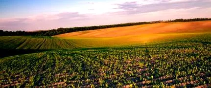 sioux nutrition