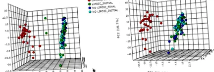 metabolomikus α-liponsav