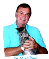 чому чому
