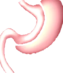 перт
