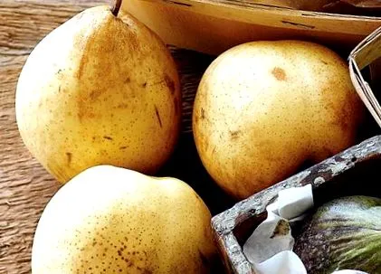 якомога швидше виробляють