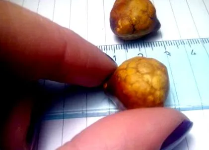 розмови розмови