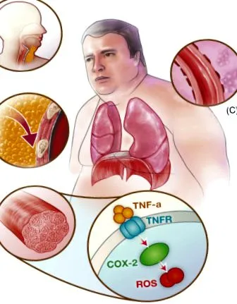 sciencedirect
