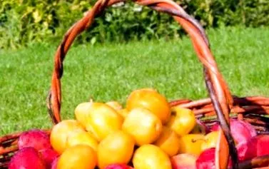 сливи інформаційні