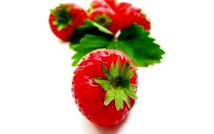 закусок
