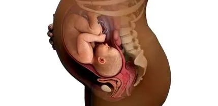babycenter