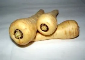 паль