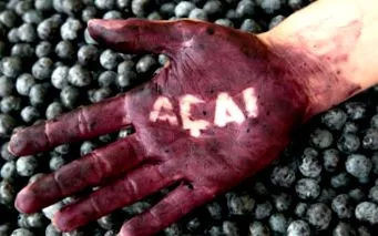 acai