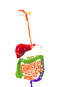 травлення