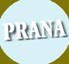 аюрведична