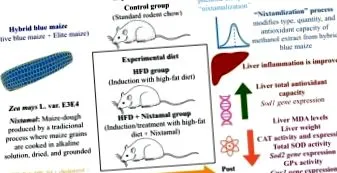 hibrid