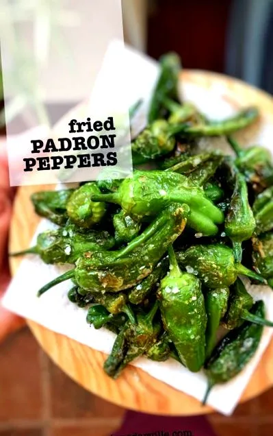 падрон padron