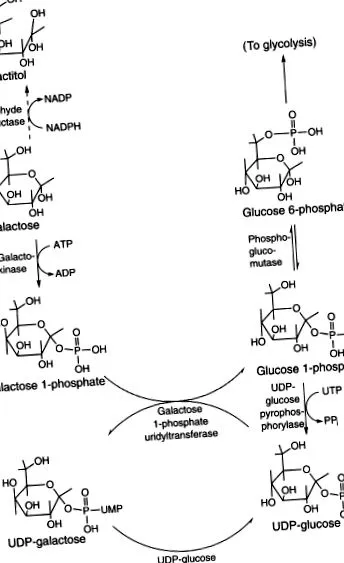 áttekintés ScienceDirect témákról áttekintés ScienceDirect témákról