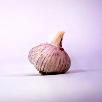 роман
