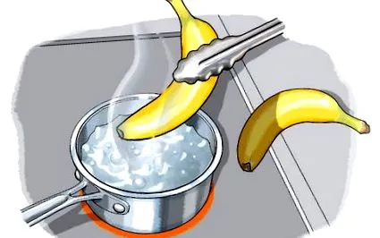gone fruits
