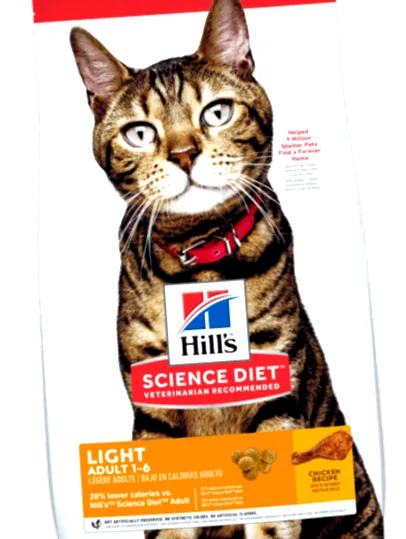 feline