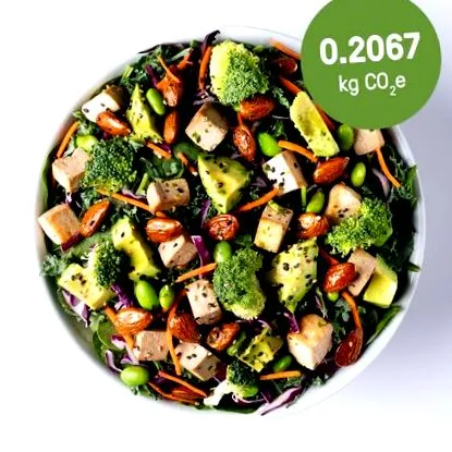 salad salad