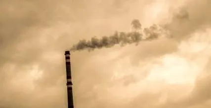 toxinok
