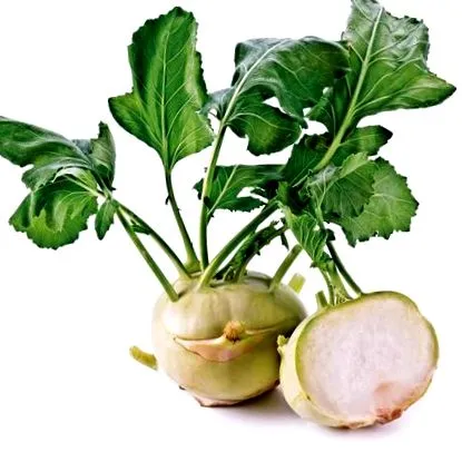 кольрабі цільна