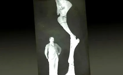 середовище опис