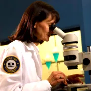 laboratories