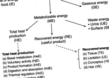 témákról áttekintés ScienceDirect