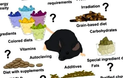 teljes teljes