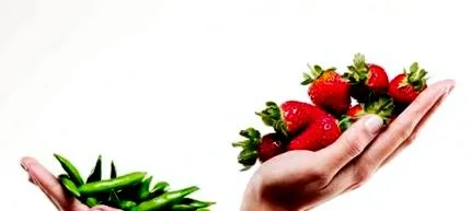 спробували продуктів харчування