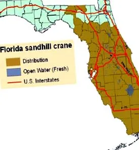 sandhill sandhill