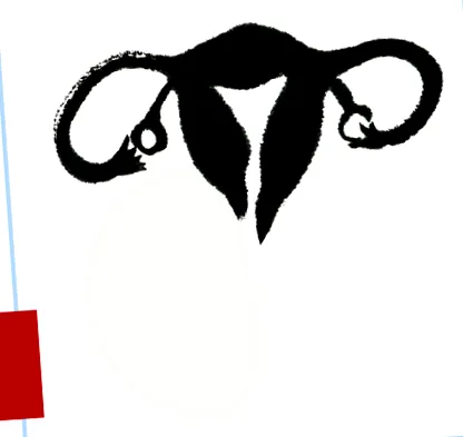 menstruációs ciklus