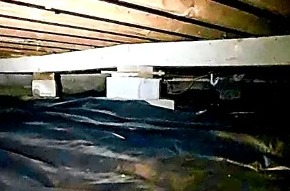 повзучого мічигані
