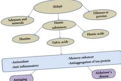 активністю shilajit